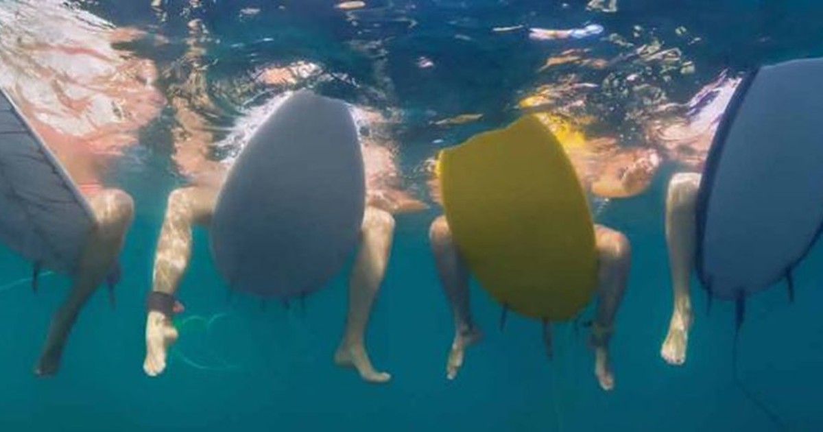 SURF INSTRUCTOR COURSES