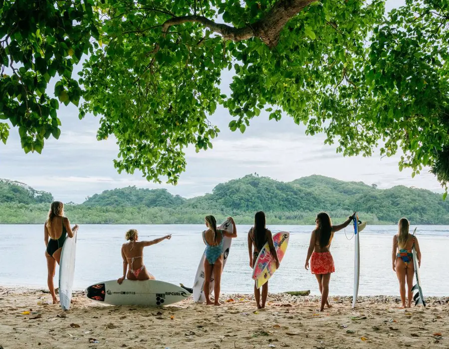 Surf community and boards