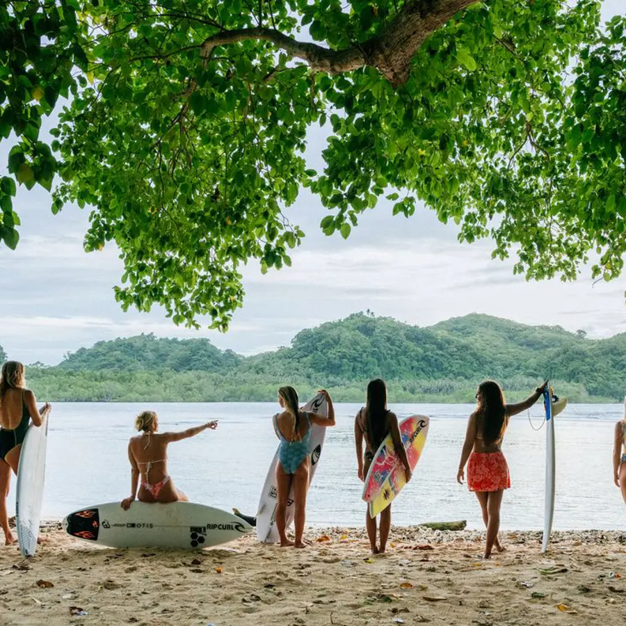 Surf community with boards on the beach